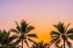 palmbomen aan de oceaan foto