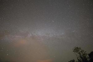sterrenhemel en boomtoppen foto