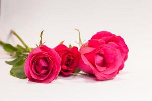 drie rode rozen foto