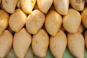 close-up van natuurlijke mango's