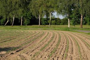 de kasteel van edelsteen in Duitsland foto