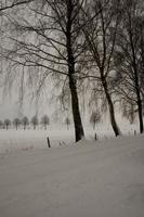 Bij de kasteel van Raesfeld in Duitsland foto