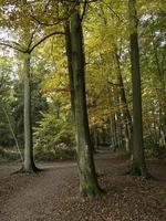 Raesfeld kasteel in Westfalen foto