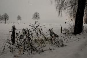 Bij de kasteel van Raesfeld in Duitsland foto