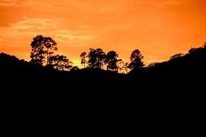 prachtig zonsonderganglandschap foto