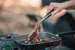 jong Dames genieten naar Koken maaltijd Aan camping foto