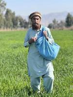 Pakistan boer verspreiden kunstmest in de landbouw veld- foto