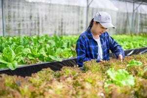 boer vrouw zorgzaam hydrocultuur groente verhaallijn, biologisch groenten foto