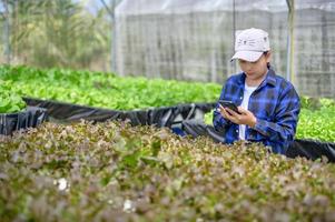 boer vrouw zorgzaam hydrocultuur groente verhaallijn, biologisch groenten foto