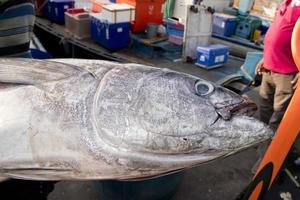 mannetje Indië vis markt foto