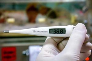 close-up medische thermometer in handen van arts op onscherpe achtergrond.. foto