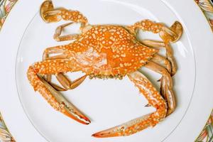 top visie van blauw zwemmen krab gestoomd zetten Aan wit keramisch bord., gestoomd krab is een van de meest populair toerist attractie wanneer op reis naar Thailand. foto