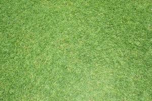 mooi groen gras patroon van golf Cursus foto