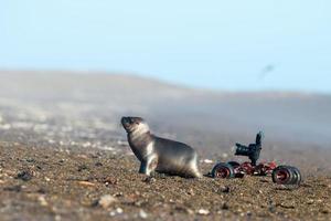 terrestrisch grond dar met camera terwijl het schieten zegel foto