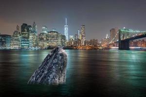 Manhattan nacht visie van Brooklyn foto