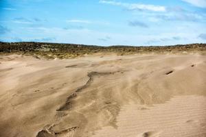 woestijn strand zand duinen Aan winderig dag foto