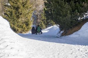 houten slee Aan de sneeuw foto