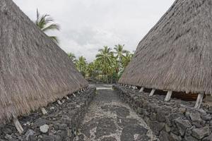 hawaiiaans hut Aan de strand foto