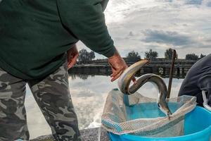 de traditioneel paling festival in comacchio Italië foto