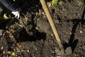 planten. Mens graven grond. werk in tuin foto