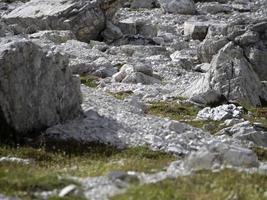 marmot groundhog Bij drie pieken van lavaredo vallei dolomieten bergen panorama landschap foto