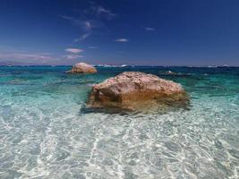 zeemeeuw baai baia dei gabbiani strand Sardinië visie kristal wateren foto