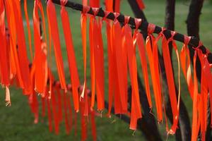 rood kleding gebonden Aan een boom foto