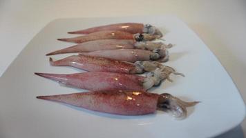 inktvis zeevruchten Aan bord Aan wit. foto