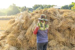 achterkant vrouw boer vervelend groen hoed staand Bij de boerderij. rietje, droog rietje, hooi rietje geel achtergrond, hooi rietje structuur foto