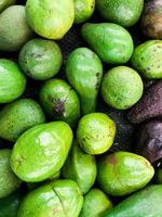 avocado of alpukat verkocht Bij een supermarkt genomen van een top visie hoek foto