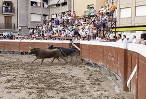 Spaans stierengevecht in een partij foto