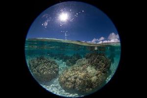 cyclisch visie snorkelen in Frans Polynesië naar beneden onder wereld foto