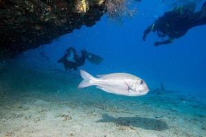 schip wrak in Maldiven Indisch oceaan foto