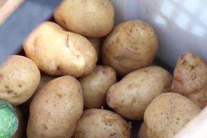 stapel van aardappelen in een Indonesisch groenteboer mand foto