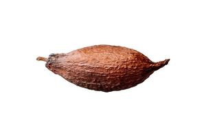 3803 cacao fruit geïsoleerd Aan een transparant achtergrond foto