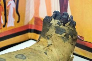Egyptische mama vingers van voet detail foto