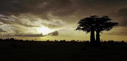 een zonsondergang over- de okavango delta. foto