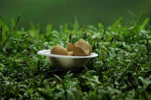 eierschaal in kom Aan groen gras. voedsel fotografie foto