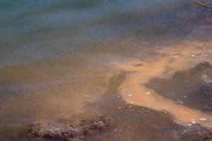 walvis dik vet detail Aan water foto