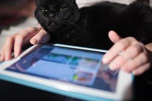 vrouw met behulp van een tablet met een zwarte kat op haar schoot foto