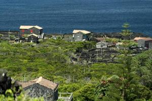 pico eiland azoren wijngaard wijn druiven beschermde door lava steen antenne visie foto