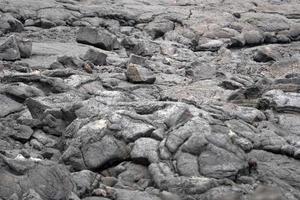 pico eiland lava velden rotsen foto