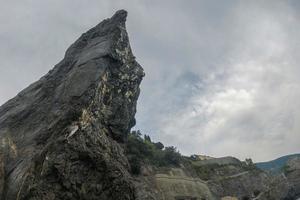 Europese shag dwerg medeplichtige phalacrocorax vogel foto