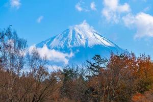 mt. fuji in japan in de herfst foto