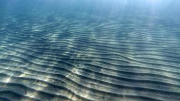 zand bodem onderwater- zwemmen in turkoois lagune foto