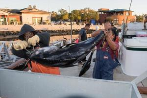 san diego, Verenigde Staten van Amerika - november 17, 2015 - visvangst boot lossen tonijn Bij zonsopkomst foto