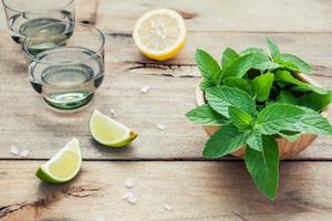 ingrediënten voor het maken van mojito's foto