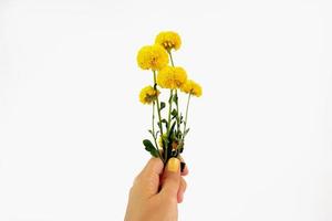 hand met verse bloemen foto