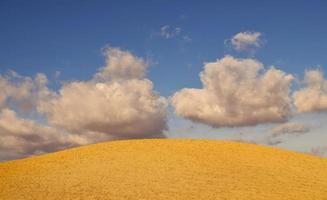 de Toscaans heuvels foto