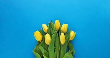 banier met geel tulpen in centrum Aan blauw papier achtergrond. lente concept. maart 8 vrouwen dag. moeders dag. grootmoeder dag. gelukkig verjaardag. Pasen. voorjaar verkoop. plaats voor tekst. foto